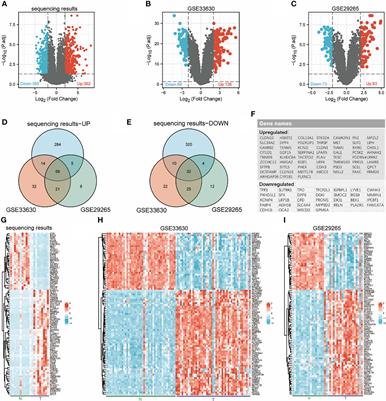 Key molecules associated with thyroid carcinoma prognosis: A study based on transcriptome sequencing and <mark class="highlighted">GEO datasets</mark>